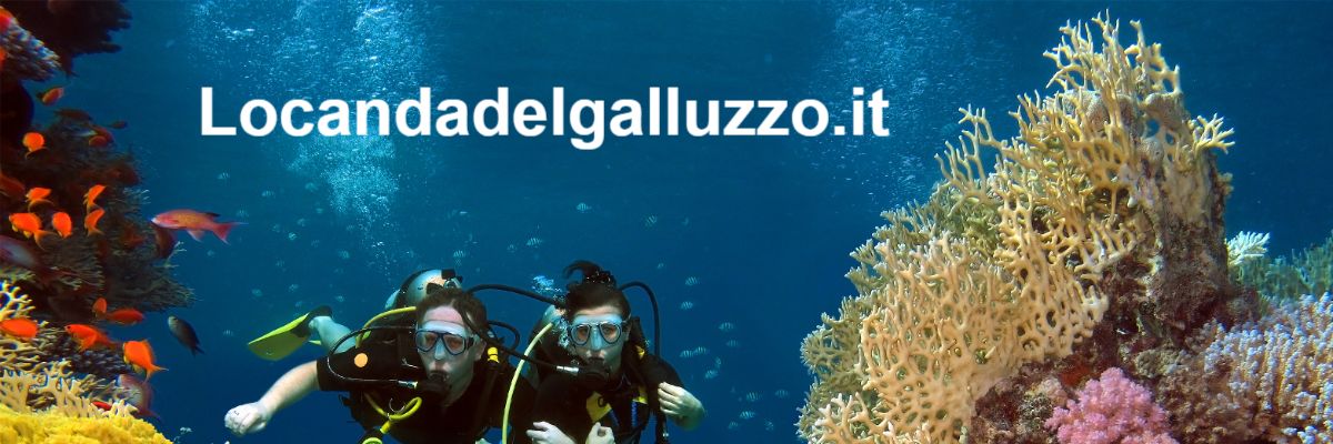 locandadelgalluzzo.it locandadelgalluzzo.it